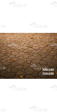 Tło fotograficzne „Jesienna Kamienna Alejka” | 4262